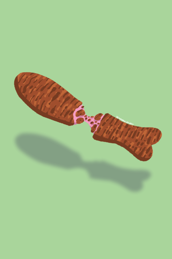 Chocolate Fish Print