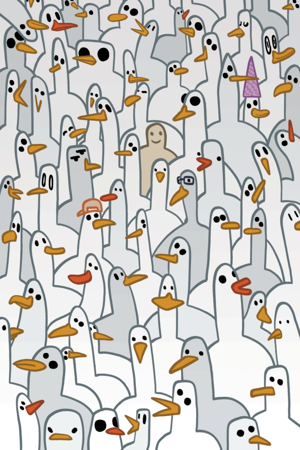 Seagulls Print