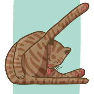 Cat Licking Butt Print
