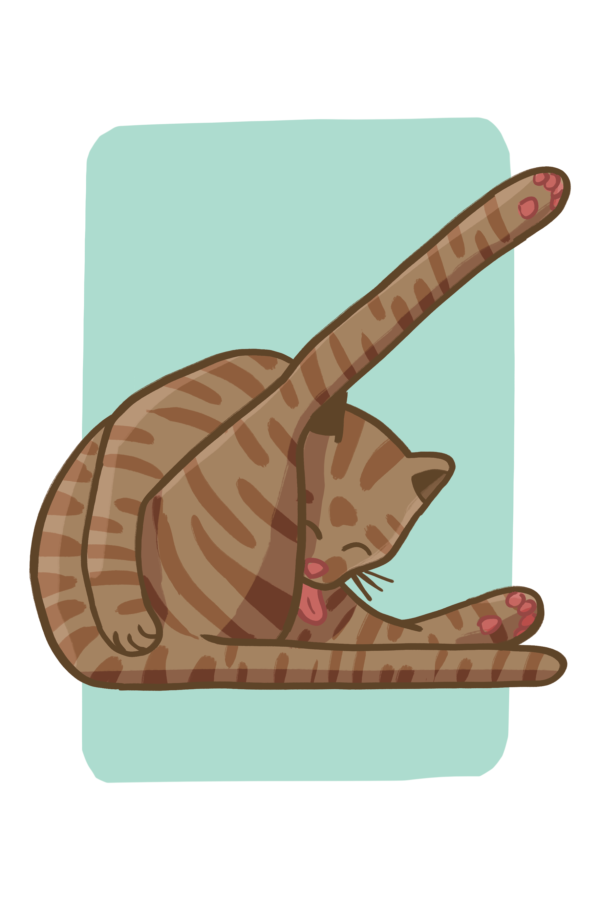 Cat Licking Butt Print