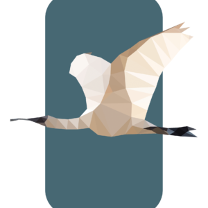 Royal Spoonbill Print