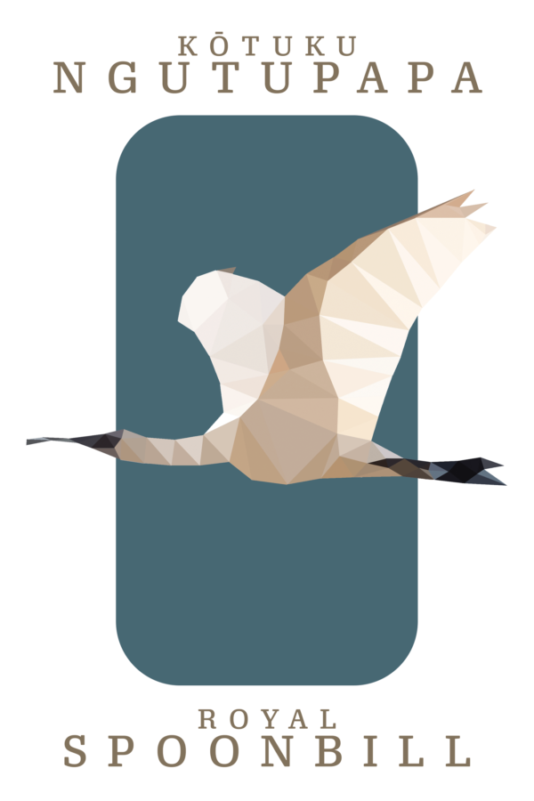 Royal Spoonbill Print
