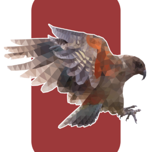 Poly Kea Print